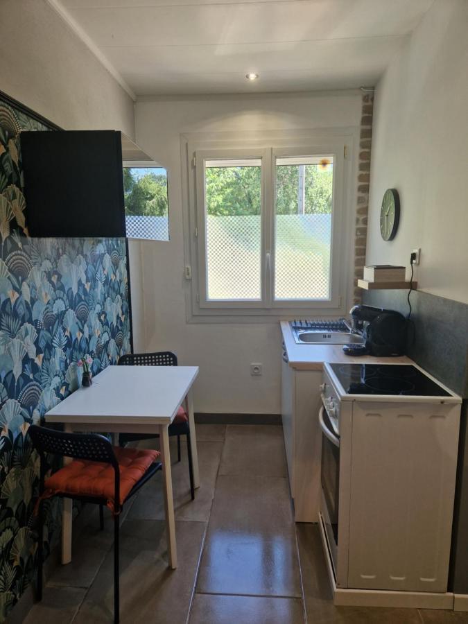 Appartement Independant Dans Maison Avec Jardinet, Au Calme Sérézin-du-Rhône Exteriör bild
